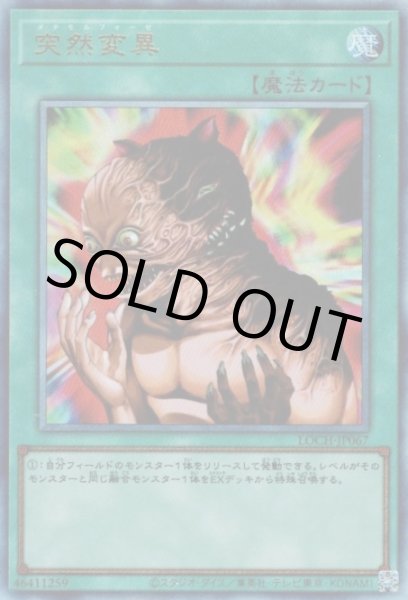 画像1: 突然変異（メタモルフォーゼ） (1)