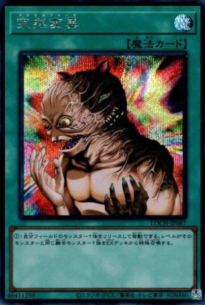 画像1: 突然変異（メタモルフォーゼ） (1)