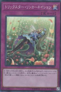 黒の魔法神官（マジック・ハイエロファント・オブ・ブラック