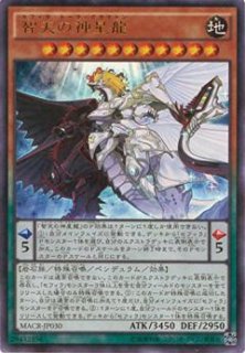 遊戯王（第9期） - 遊戯王専門：通販サイト ◇ティム中山店直営