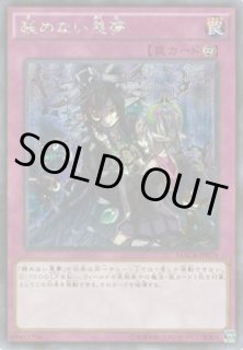 波動竜騎士 ドラゴエクィテス - 遊戯王専門：通販サイト ◇ティム中山