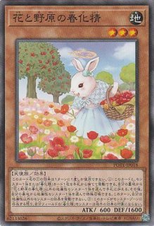 【PSA10】赫聖の妖騎士　デスピアン・ルルワリリス プリズマ 遊戯王 赫聖の妖騎士 デスピアン・ルルワリリス プリシク - メルカリ