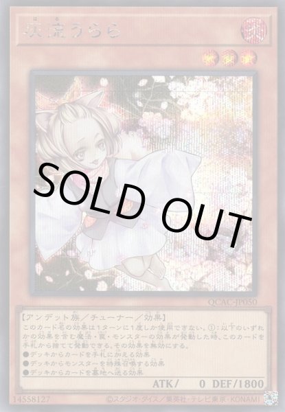 画像1: 灰流うらら（はる） (1)