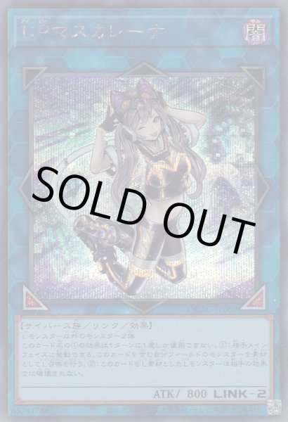 画像1: I:Pマスカレーナ（アイピー） (1)