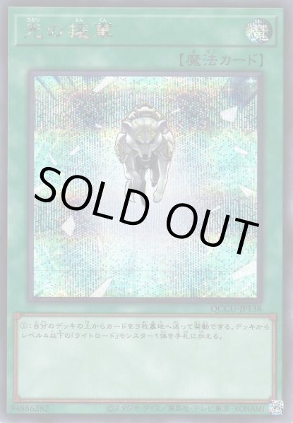 画像1: 光の援軍 (1)