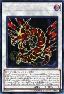 瑚之龍（コーラル・ドラゴン） - 遊戯王専門：通販サイト