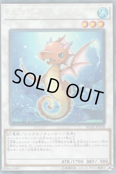 画像1: たつのこ (1)