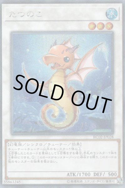 画像1: たつのこ (1)