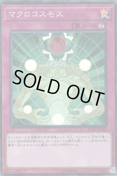 画像1: マクロコスモス (1)