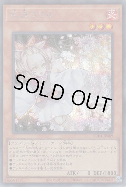 画像1: 灰流うらら（はる） (1)