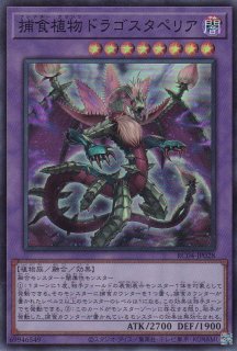 捕食植物ドラゴスタペリア（プレデター・プランツ） - 遊戯王