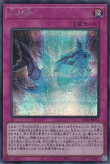ポルメンティス・レインボードラゴン サイン入り 2025年最新】レインボードラゴン サインの人気アイテム - メルカリ