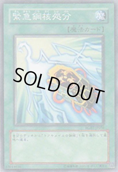 画像1: 緊急鋼核処分 (1)