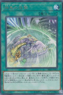 マルチャミー・フワロス - 遊戯王専門:通販サイト ◇ティム中山 マルチャミー・フワロス - 遊戯王専門:通販サイト ◇ティム中山