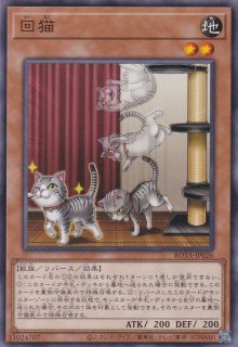 Amazon.co.jp: 遊戯王 301-018-N 《不幸を告げる黒猫》 Normal