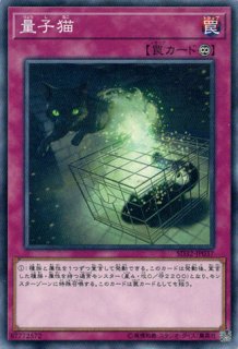 遊戯王 不幸を告げる黒猫 PSA10 301-018【２点セット】 遊戯王 不幸を告げる黒猫 PSA10 301-018【2点セット】 - メルカリ