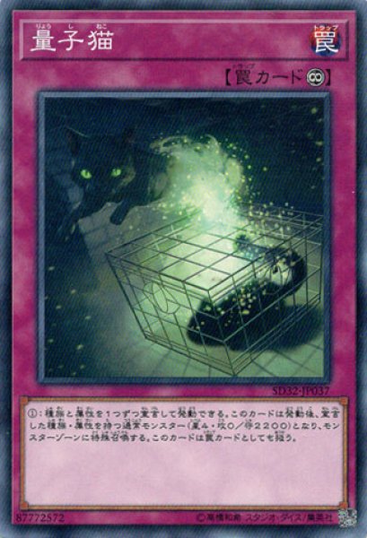 画像1: 量子猫 (1)