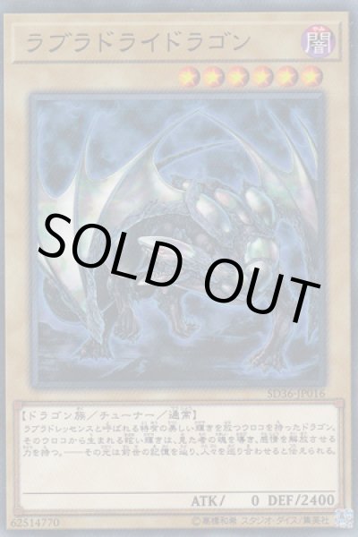 画像1: ラブラドライ・ドラゴン (1)