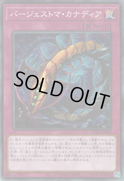 画像1: バージェストマ・カナディア (1)