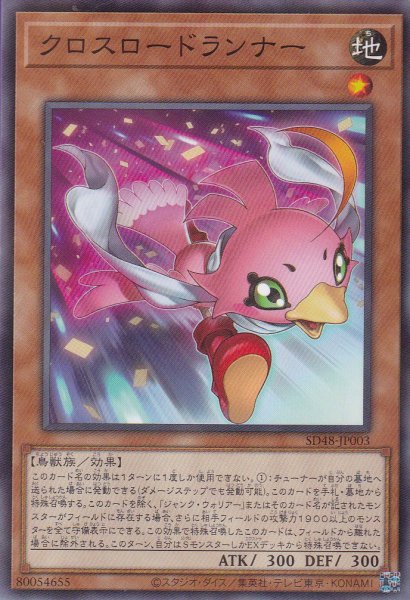 画像1: クロスロードランナー (1)