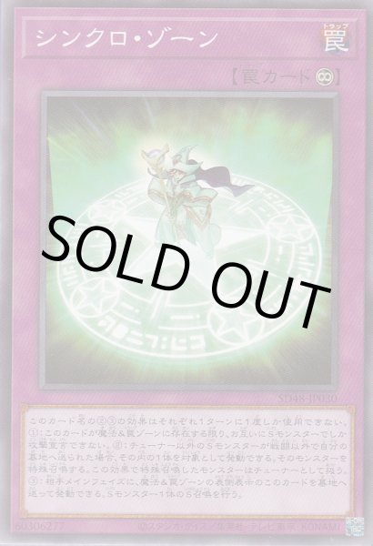 画像1: シンクロ・ゾーン (1)