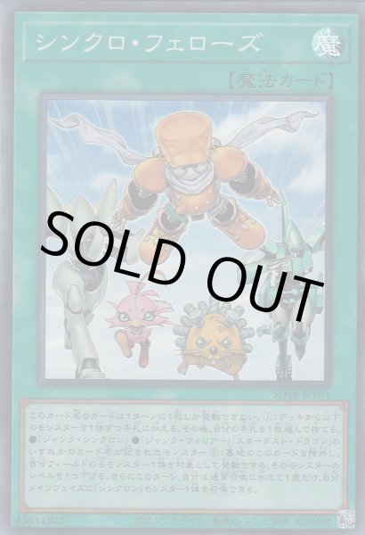 画像1: シンクロ・フェローズ (1)