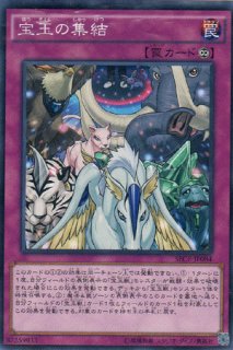 宝玉の守護者 遊戯王専門 通販サイト ティム中山店直営 ブルーラビット 宝玉の守護者 遊戯王専門 通販サイト ティム中山店直営 ブルーラビット