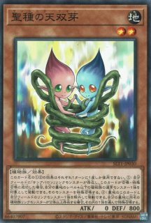 The Fallen ＆ The Virtuous（ザ フォールン アンド ザ ヴァーチャス