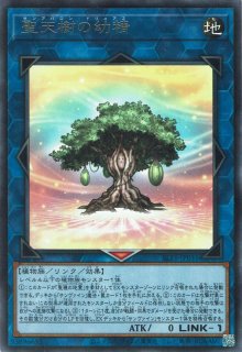 The Fallen ＆ The Virtuous（ザ フォールン アンド ザ ヴァーチャス