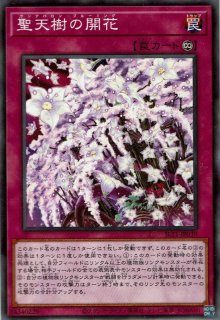 VS 蛟龍（ヴァンキッシュ・ソウル ジャオロン） - 遊戯王専門