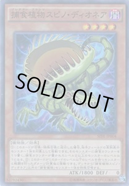 画像1: 捕食植物（プレデター・プランツ）スピノ・ディオネア (1)