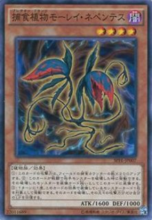 遊戯王　FGD ファイブゴッドドラゴン 20th　PSA10 遊戯王 FGD 20th シークレット ファイブ・ゴッド・ドラゴン