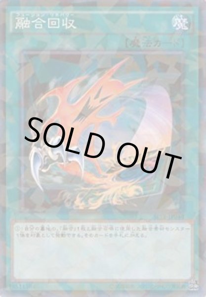 画像1: 融合回収（フュージョン・リカバリー） (1)