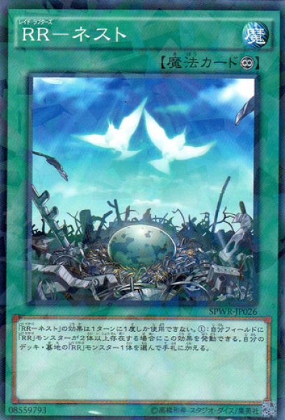 画像1: RR(レイド・ラプターズ)-ネスト (1)