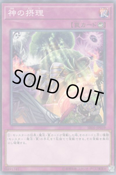 画像1: 神の摂理 (1)