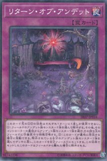 リターン・オブ・ザ・デュエリスト - 遊戯王専門：通販サイト