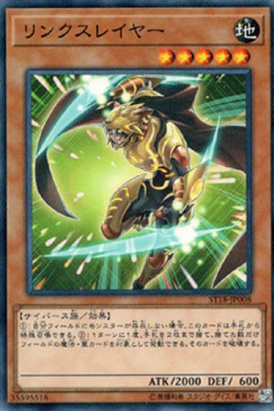 画像1: リンクスレイヤー (1)