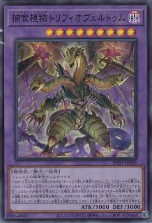 ヴェーダ＝カーランタ - 遊戯王専門：通販サイト ◇ティム中山店直営