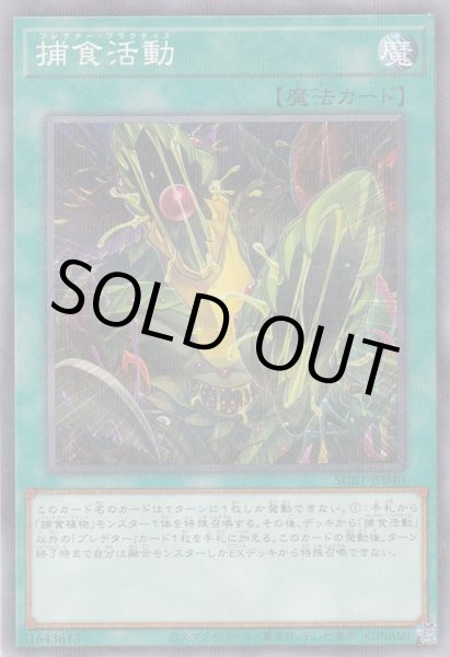 画像1: 捕食活動（プレデター・プラクティス） (1)