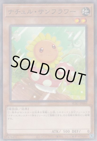 画像1: ナチュル・サンフラワー (1)