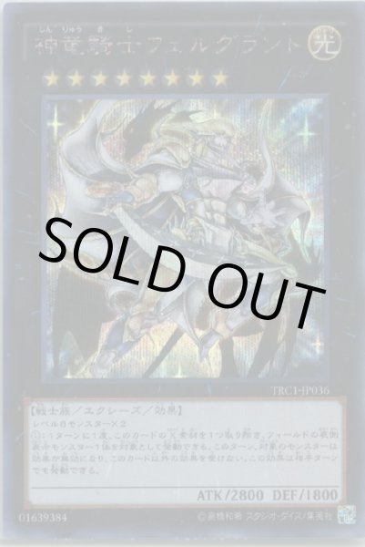 画像1: 神竜騎士フェルグラント (1)