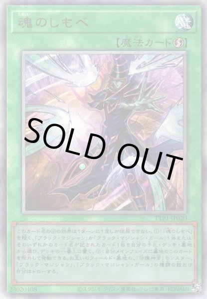 画像1: 魂のしもべ (1)