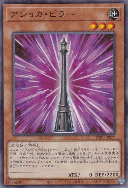 画像1: アショカ・ピラー (1)