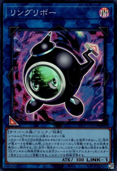 画像1: リングリボー (1)