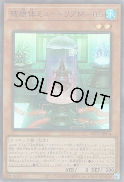 画像1: 被検体ミュートリアM－05 (1)