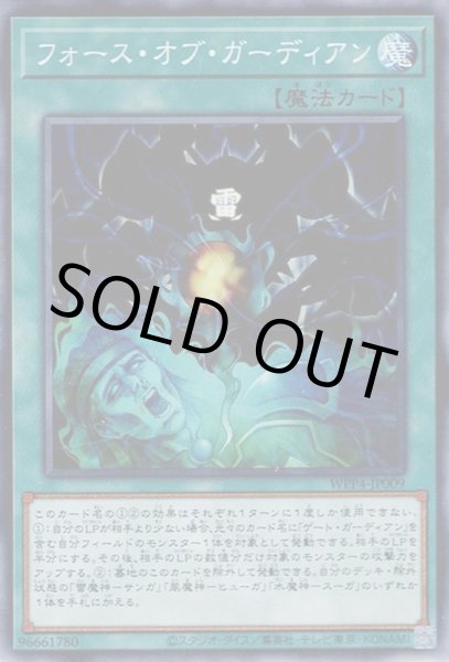 画像1: フォース・オブ・ガーディアン (1)