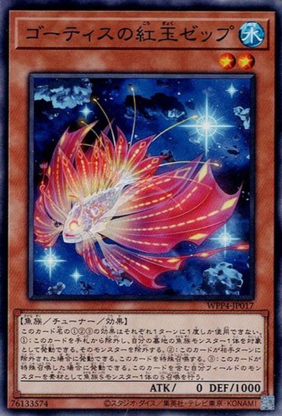 画像1: ゴーティスの紅玉ゼップ(こうぎょく) (1)