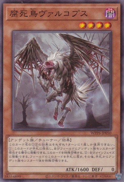 画像1: 腐死鳥ヴァルコプス (1)