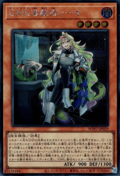画像1: GMX准教授ノーマ (1)