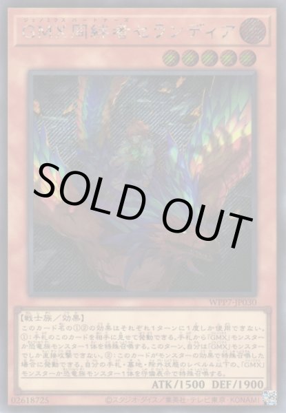 画像1: GMX同絆者セランディア (1)